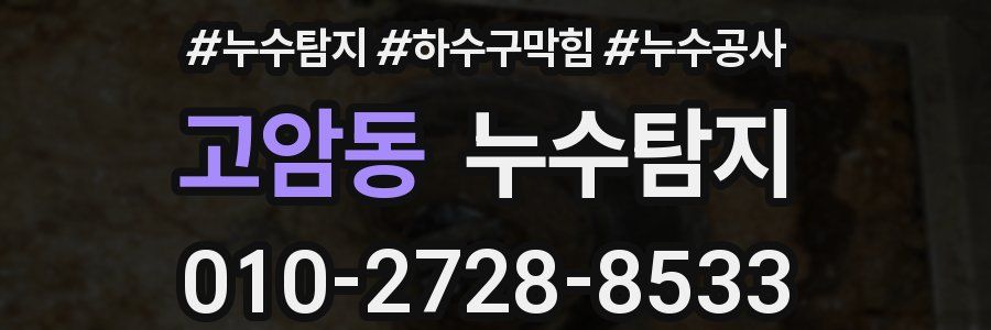 고암동 누수탐지업체