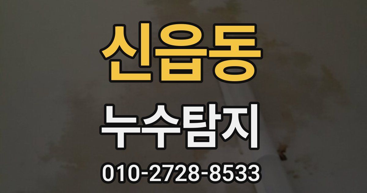 신읍동 누수공사