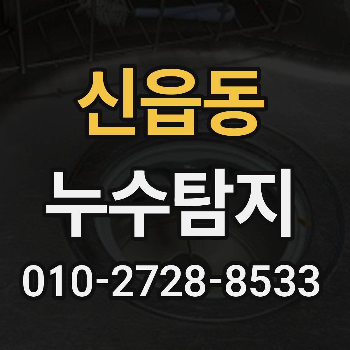 신읍동 누수탐지
