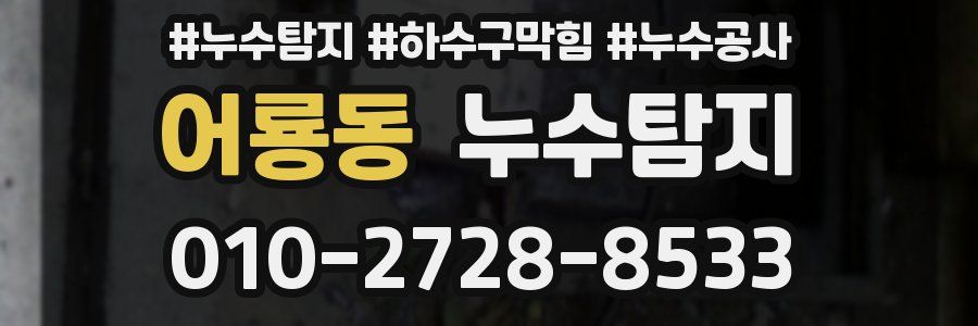 어룡동 누수탐지업체