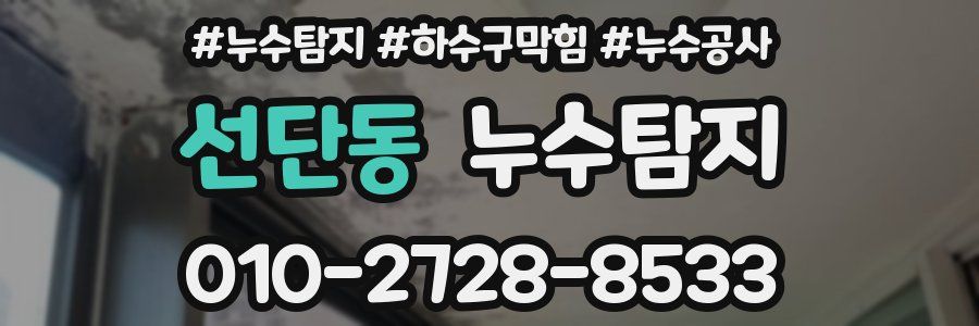 선단동 누수탐지업체