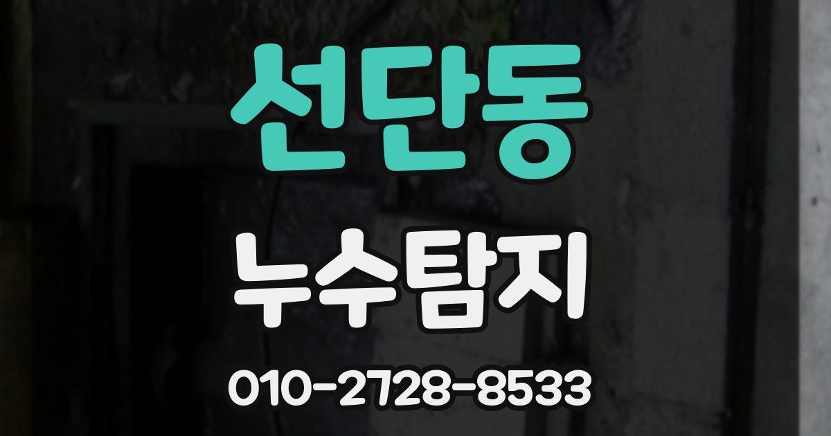 선단동 누수공사