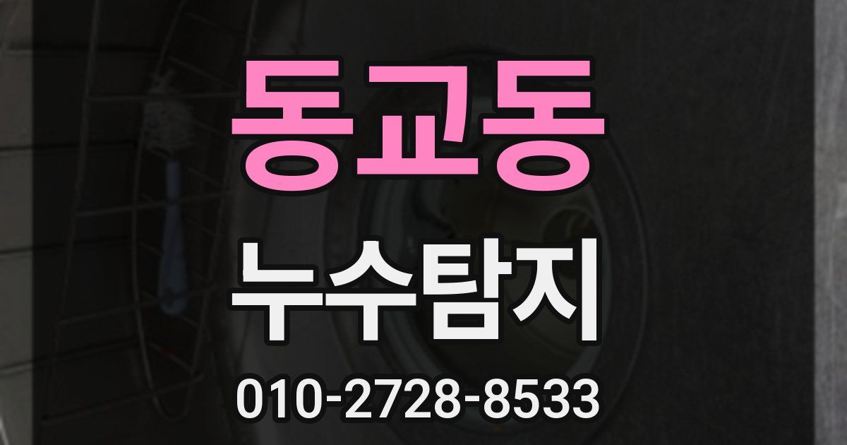 동교동 누수공사