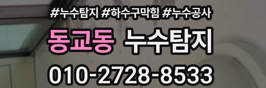 동교동 누수탐지업체