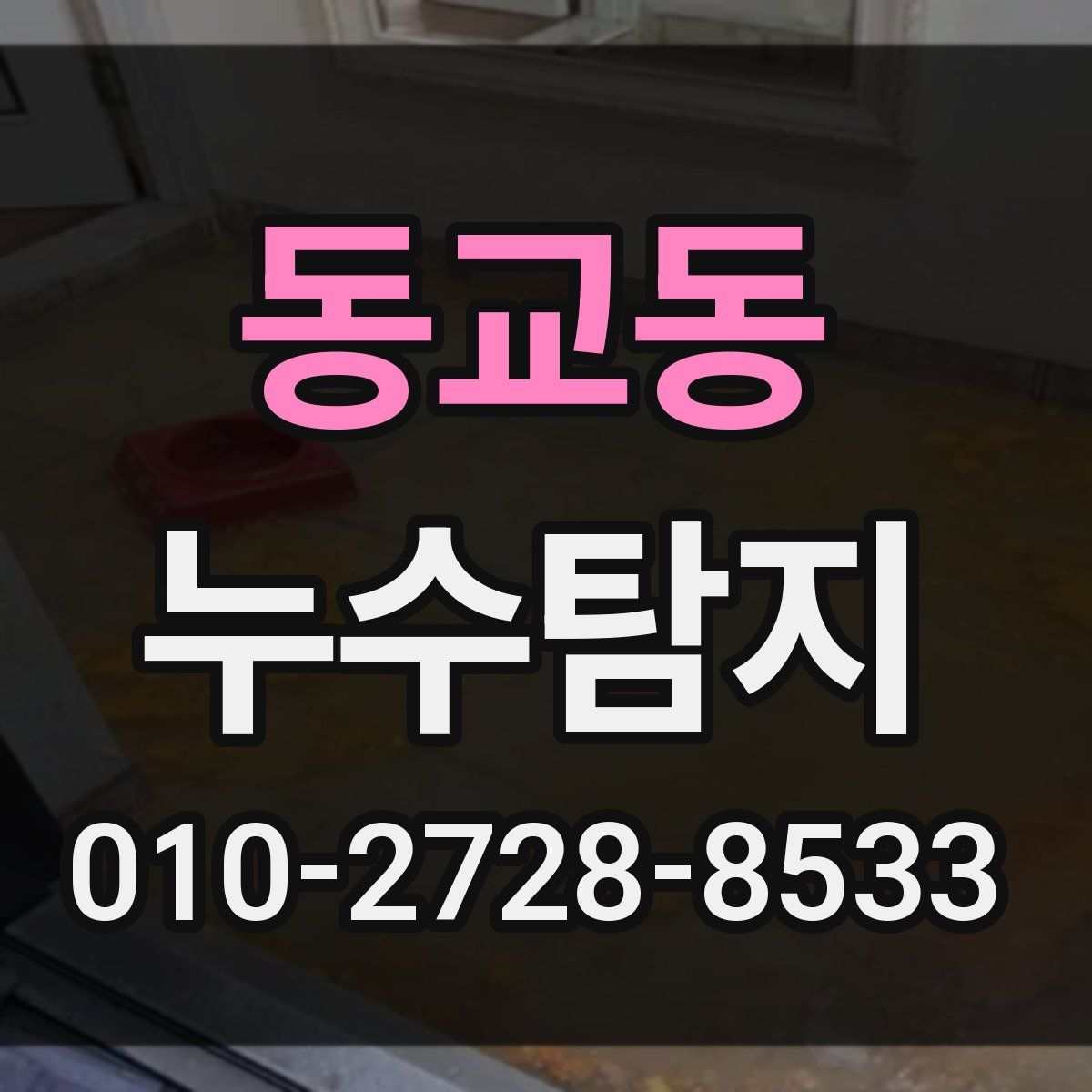 동교동 누수탐지