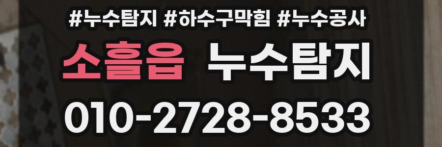 소흘읍 누수탐지업체