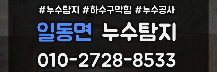 일동면 누수탐지업체