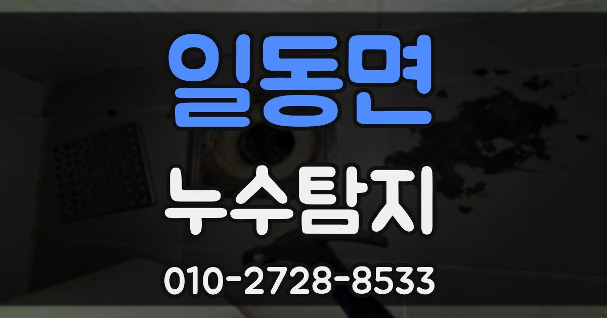 일동면 누수공사