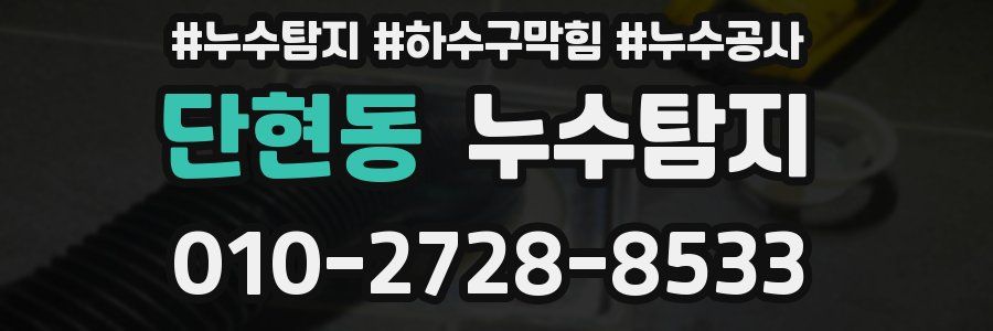 단현동 누수탐지업체