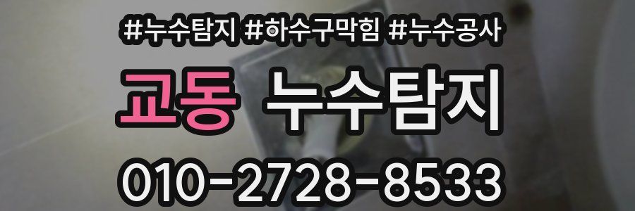 교동 누수탐지업체