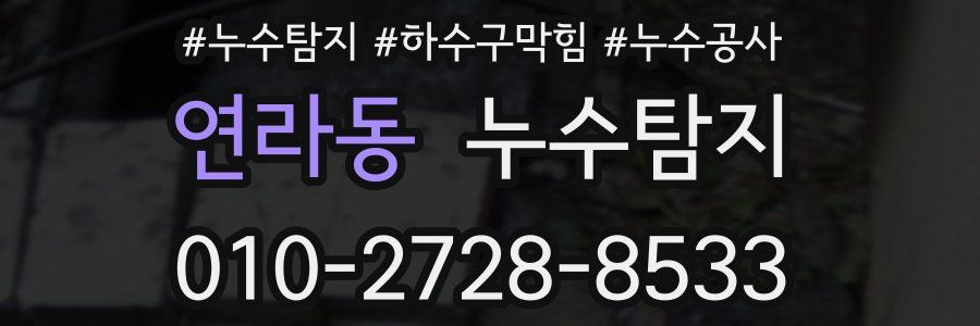 연라동 누수탐지업체