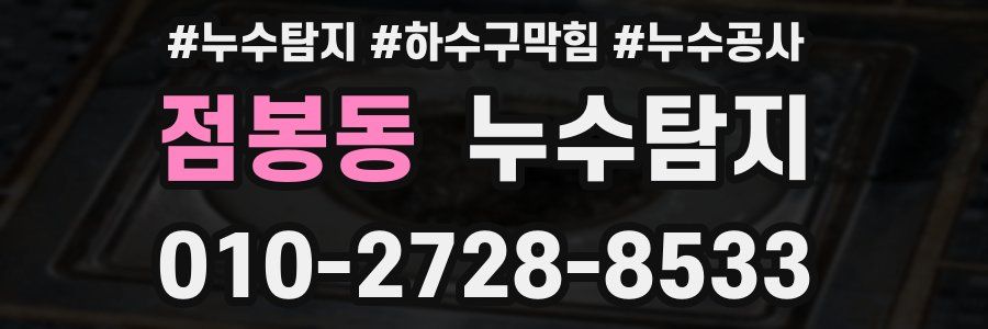 점봉동 누수탐지업체