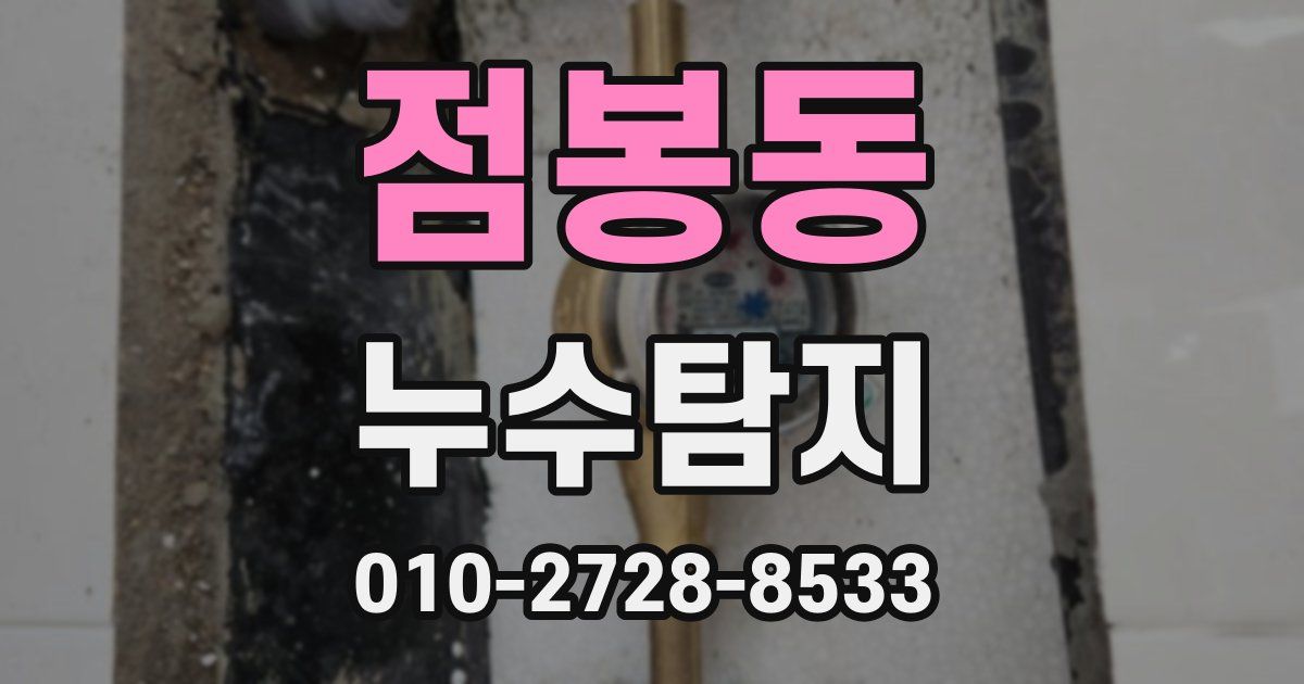 점봉동 누수공사