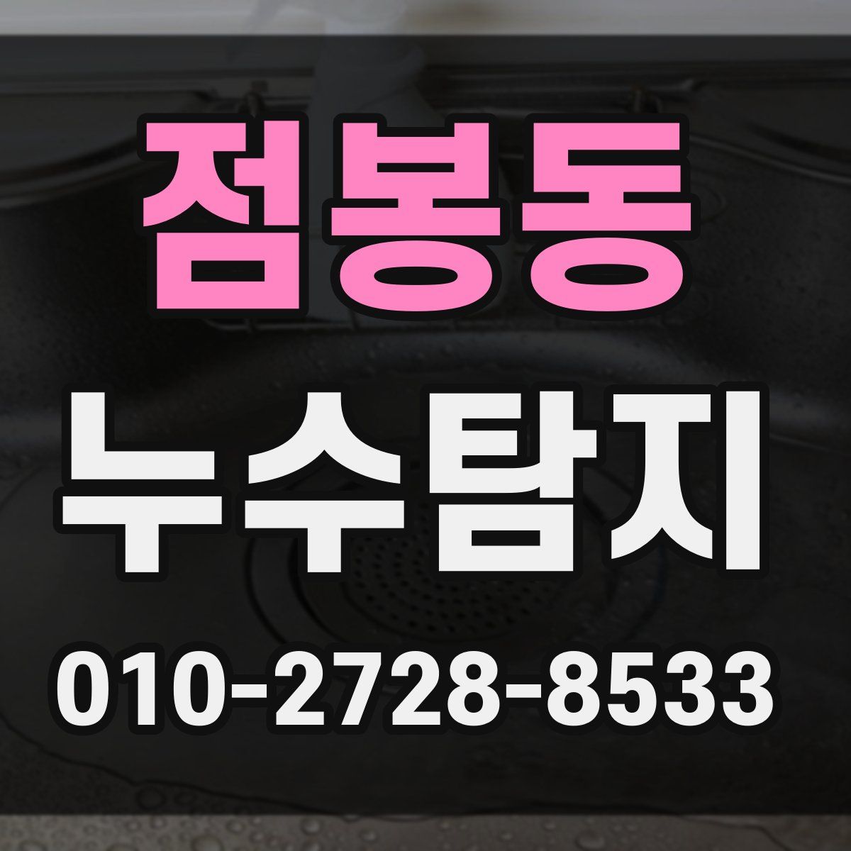 점봉동 누수탐지