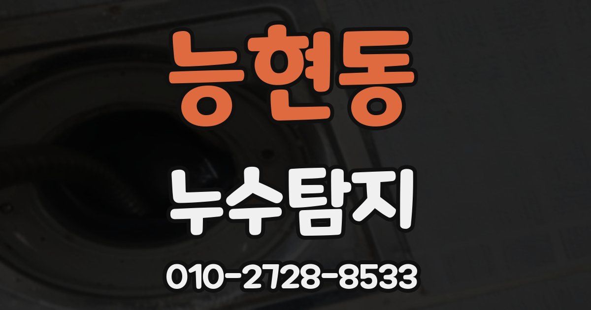 능현동 누수공사