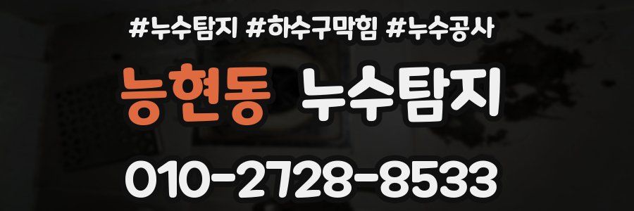 능현동 누수탐지업체