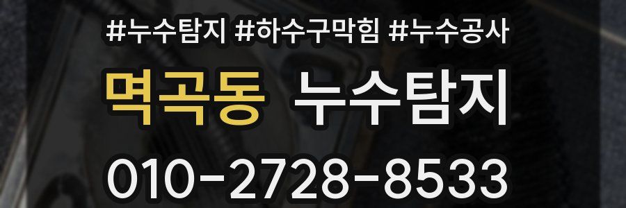 멱곡동 누수탐지업체