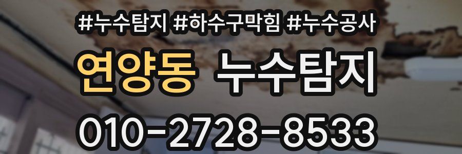 연양동 누수탐지업체