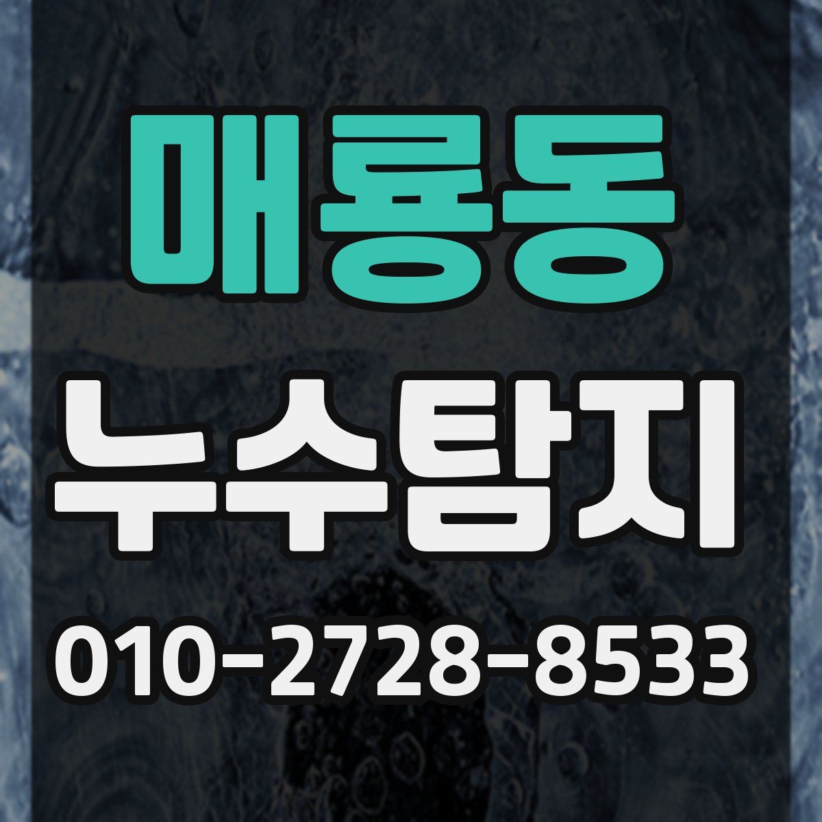 매룡동 누수탐지