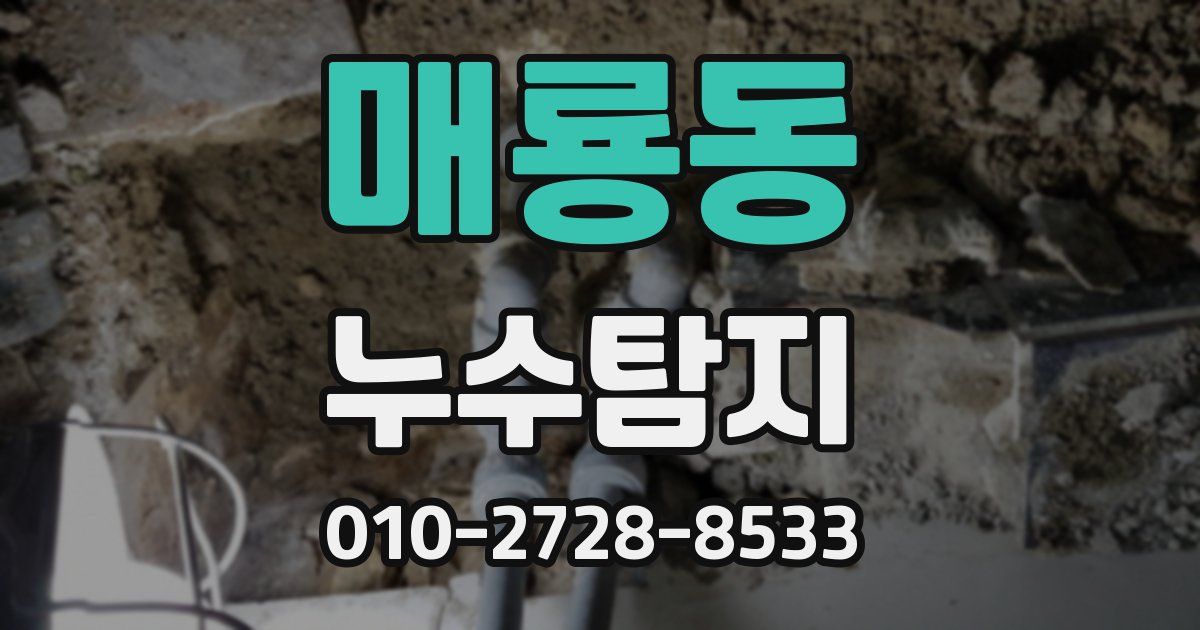 매룡동 누수공사