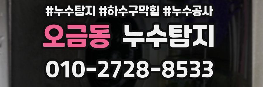 오금동 누수탐지업체