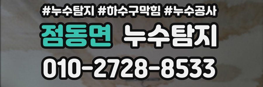 점동면 누수탐지업체