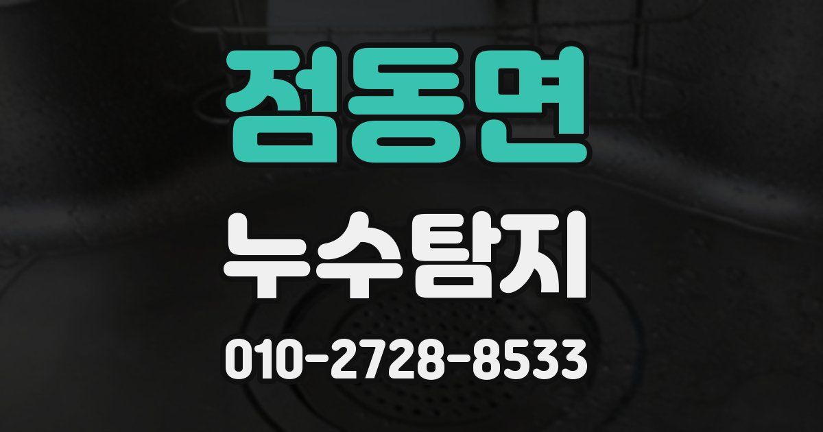 점동면 누수공사