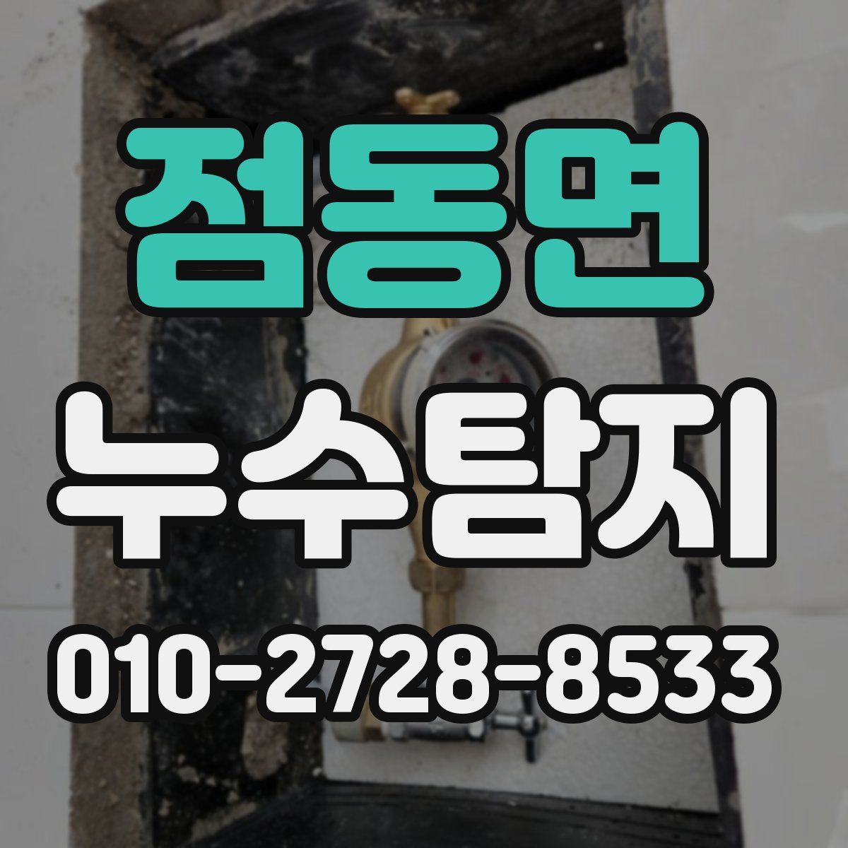 점동면 누수탐지