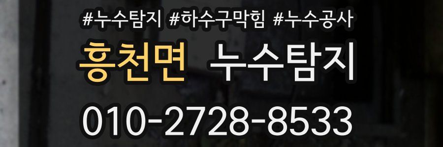 흥천면 누수탐지업체