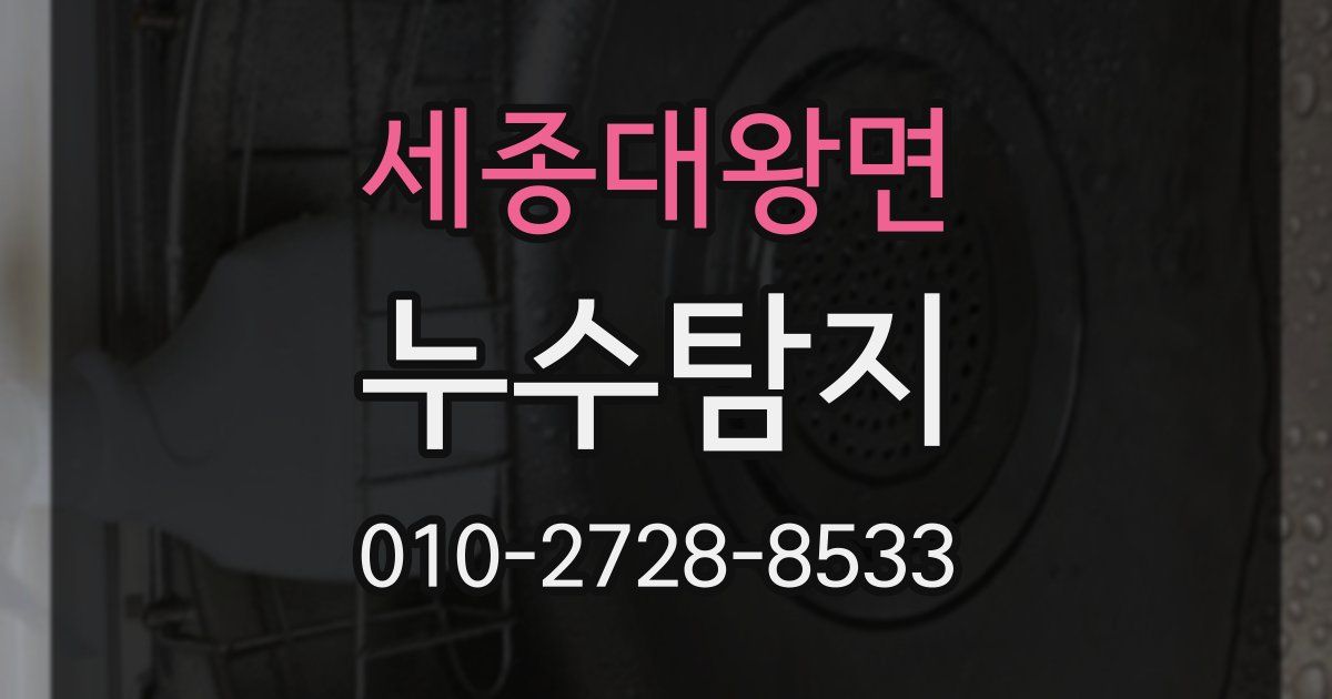 세종대왕면 누수공사