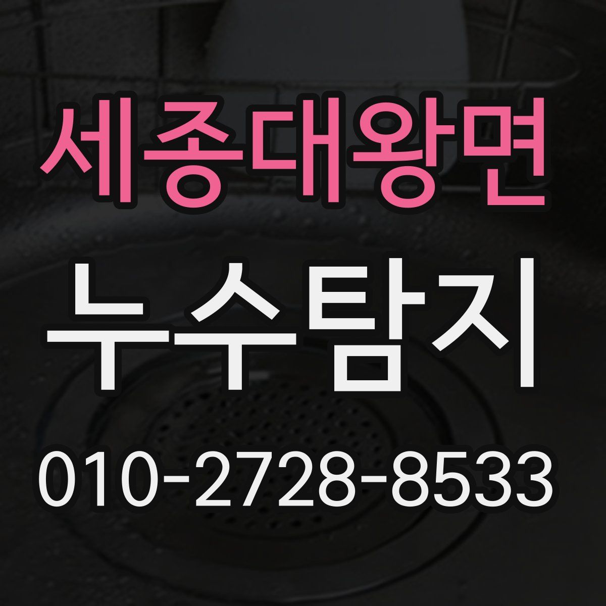 세종대왕면 누수탐지