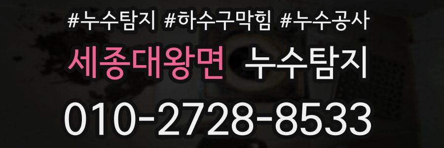 세종대왕면 누수탐지업체