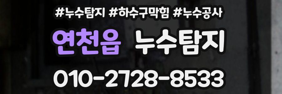 연천읍 누수탐지업체