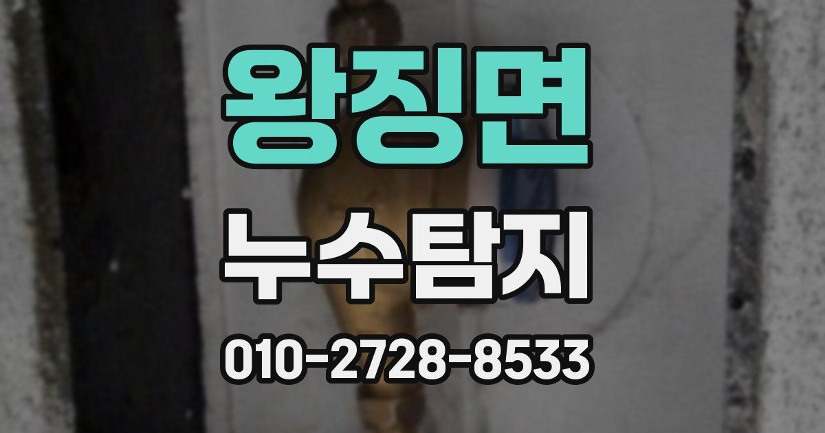 왕징면 누수공사
