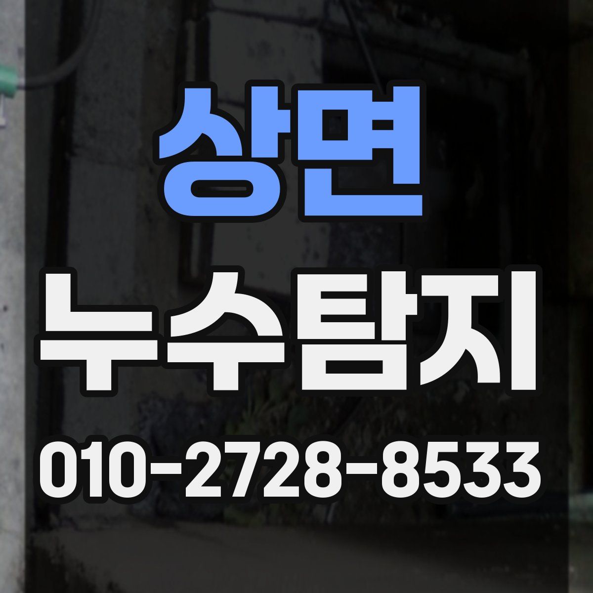 상면 누수탐지