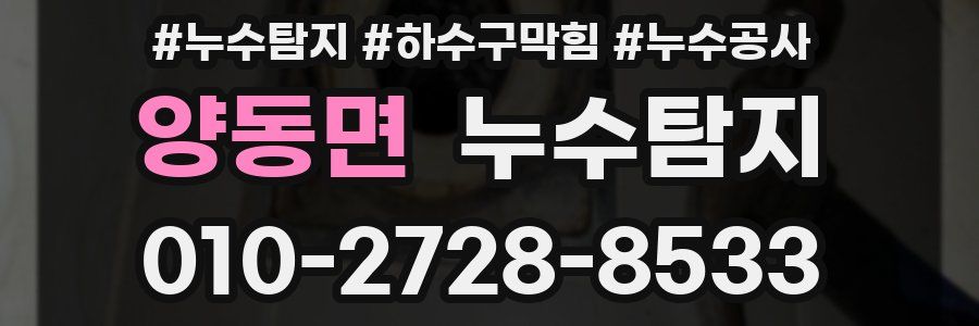 양동면 누수탐지업체