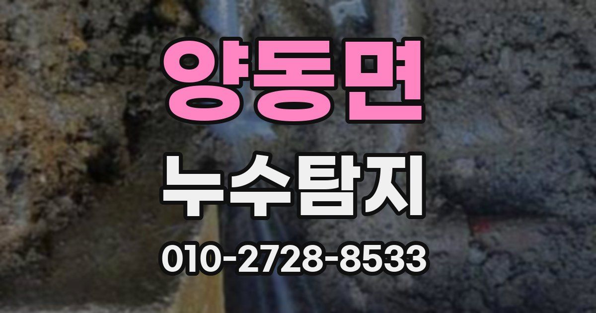 양동면 누수공사