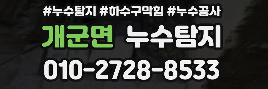 개군면 누수탐지업체