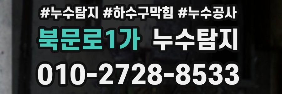 북문로1가 누수탐지업체