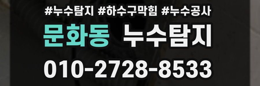 문화동 누수탐지업체