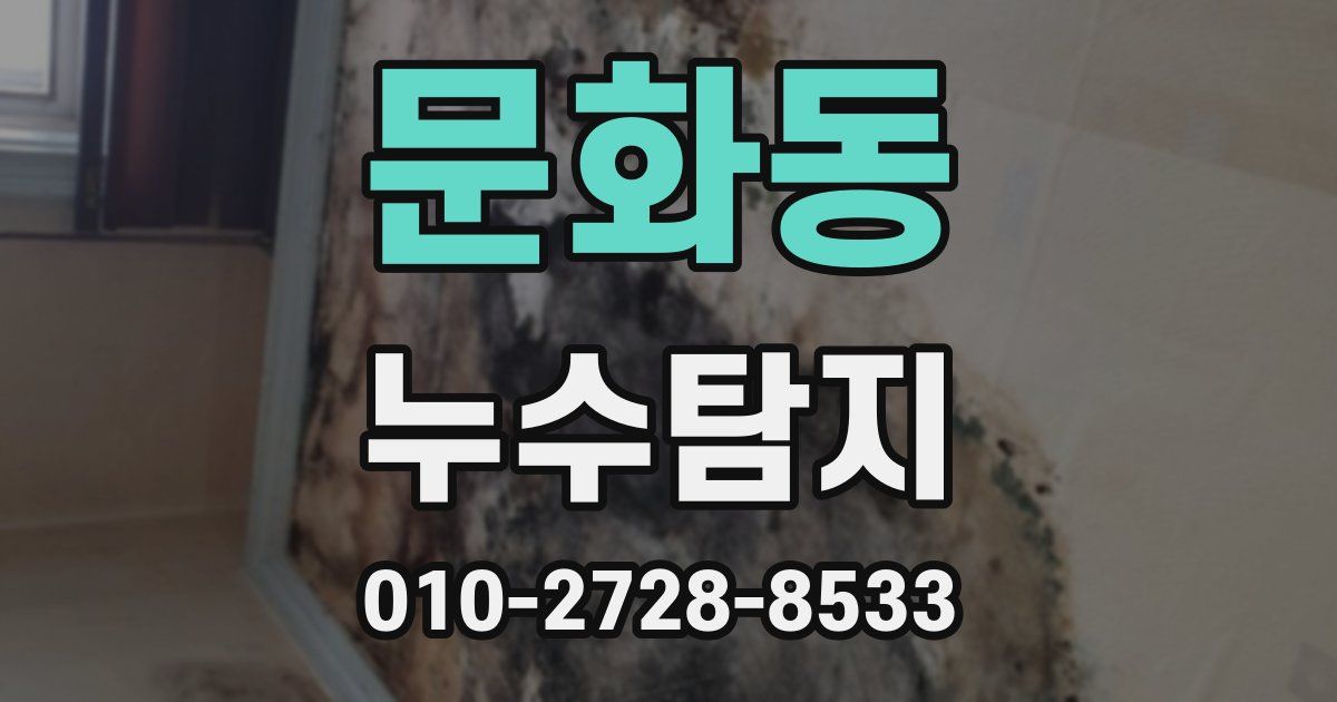 문화동 누수공사