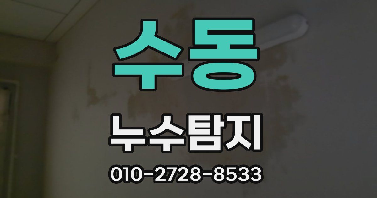 수동 누수공사