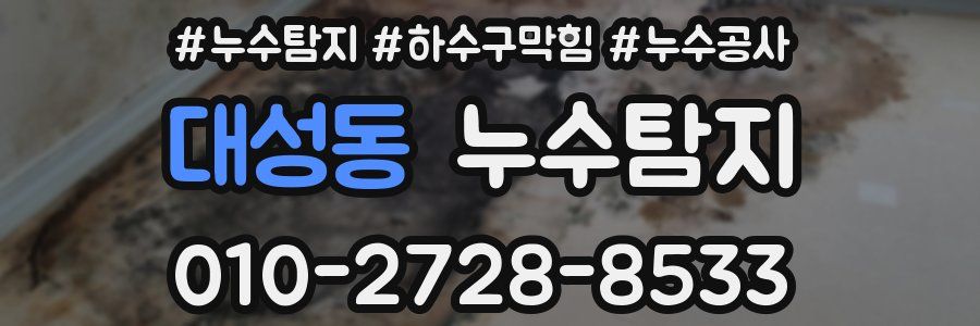 대성동 누수탐지업체
