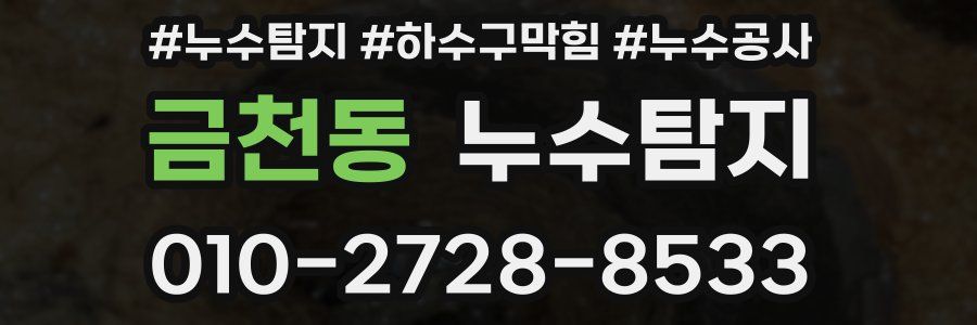 금천동 누수탐지업체