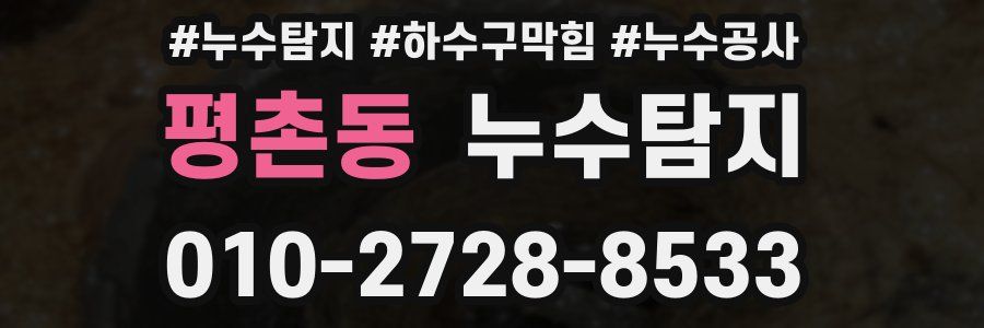 평촌동 누수탐지업체