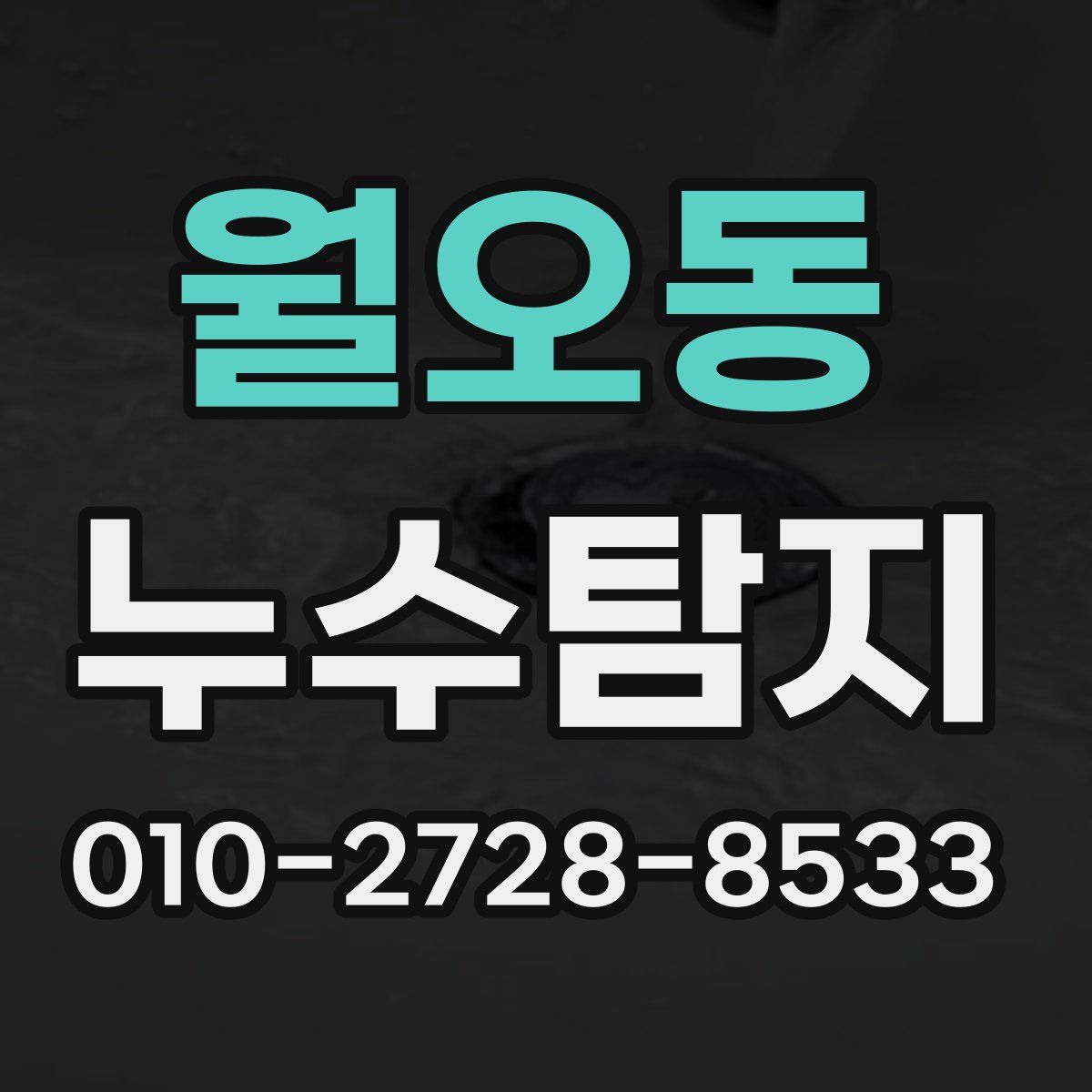 월오동 누수탐지