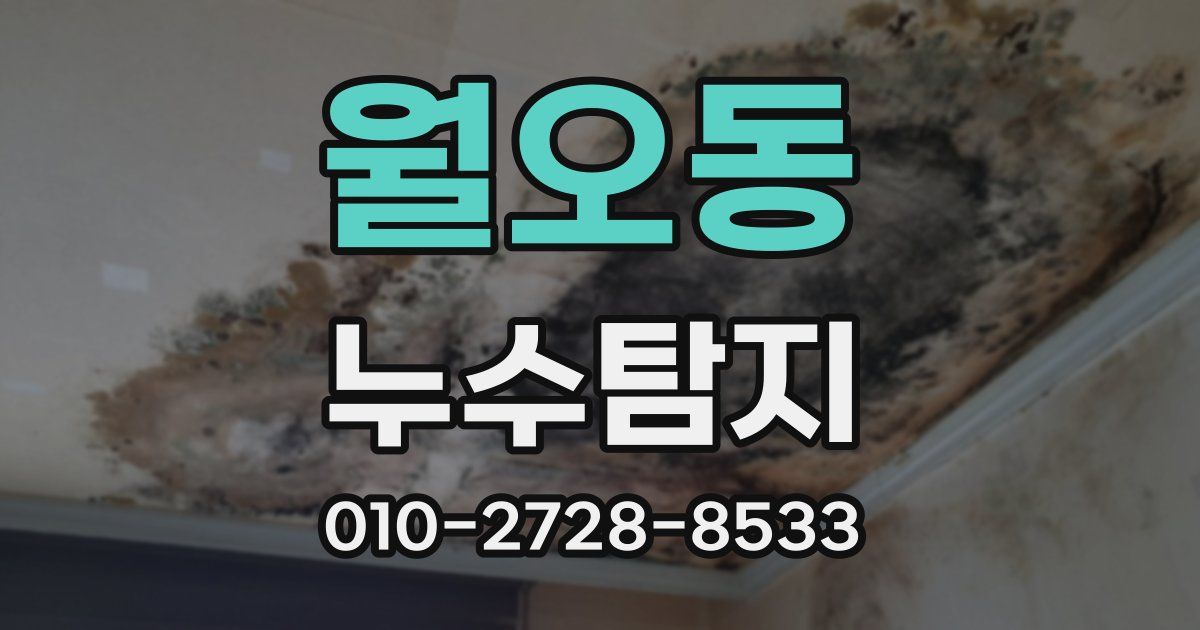 월오동 누수공사