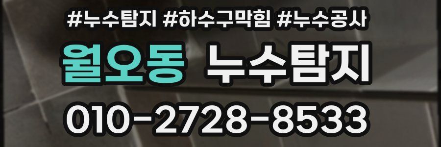 월오동 누수탐지업체