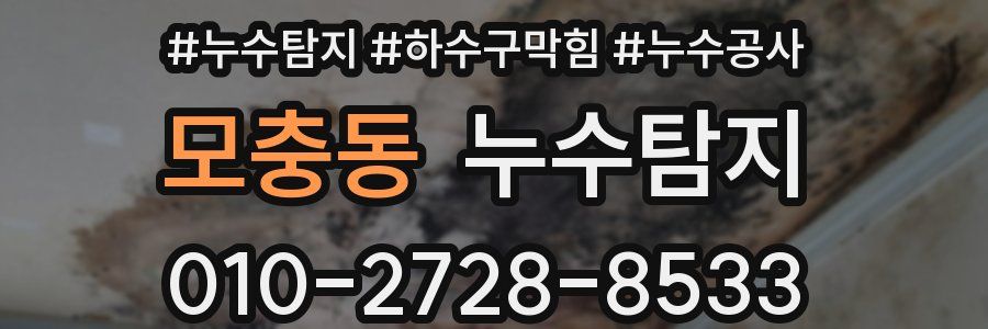 모충동 누수탐지업체