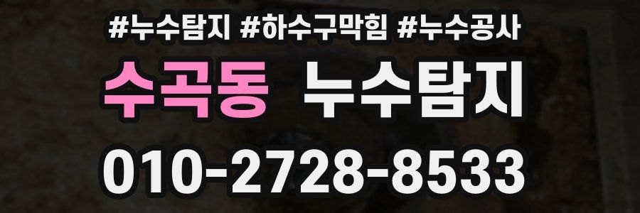 수곡동 누수탐지업체